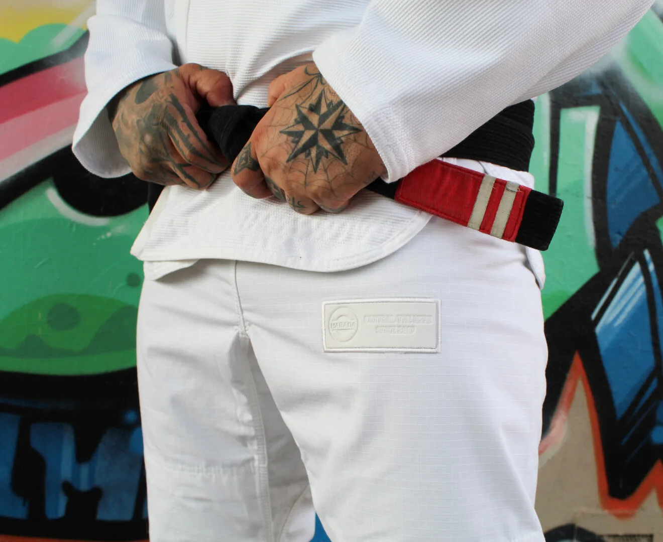 | Comp. Series 2 | Kimono - Image 5