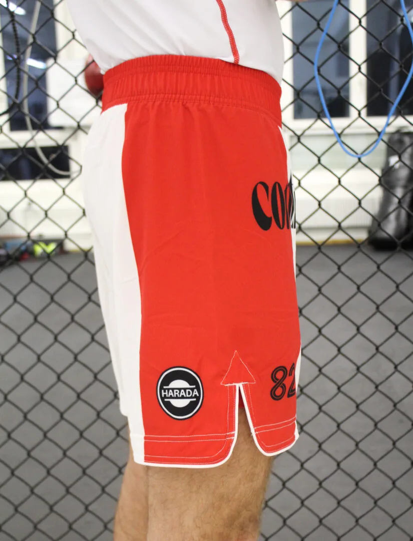| #82 | Shorts (Hybrid) - Image 4
