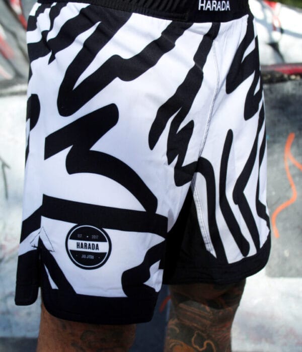 | Abstract V1 | Shorts (Hybrid)